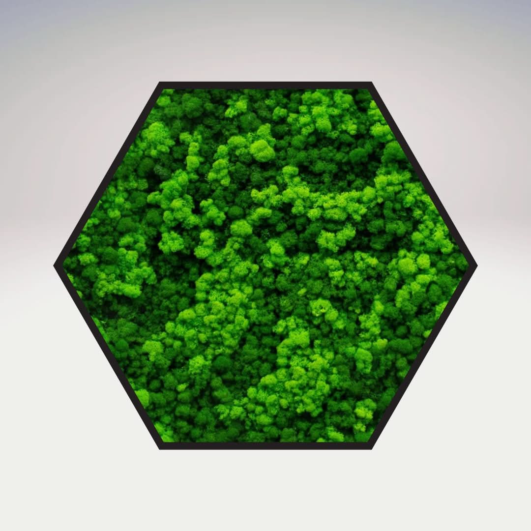 Quadro verde preservato Esagono Viridem