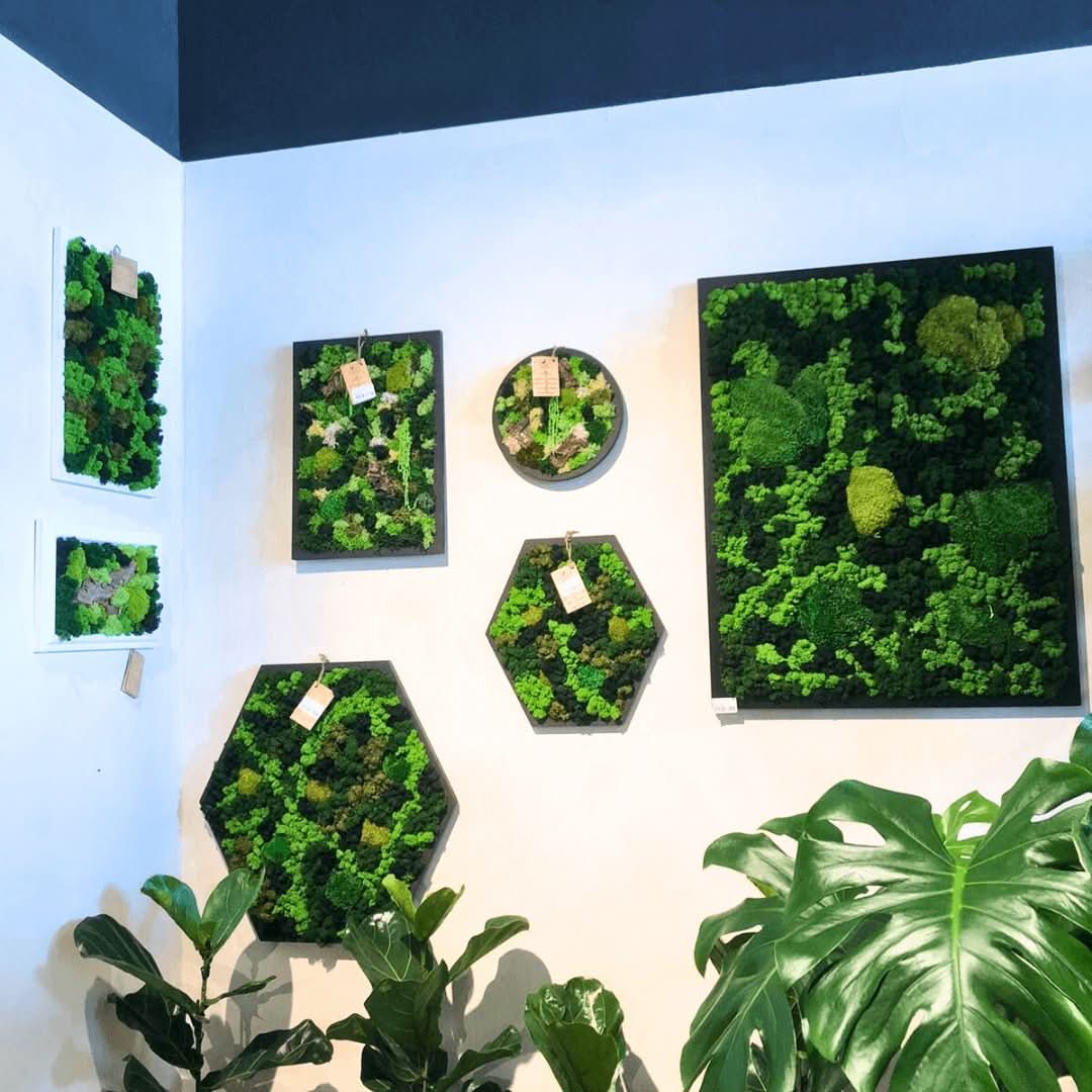 Quadro Vista Bosco  di Verde stabilizzato 90x70 cm