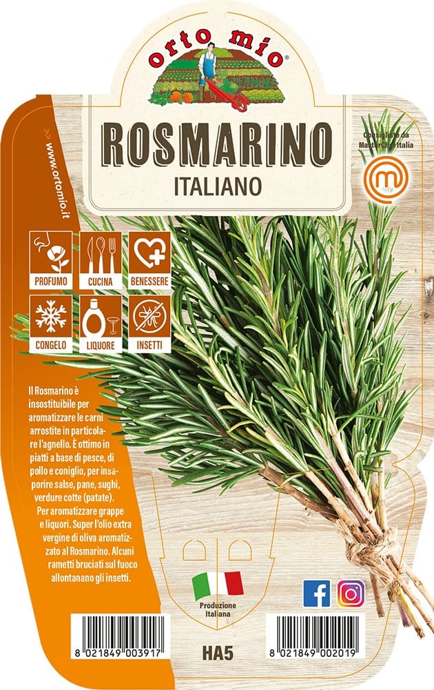 Rosmarino - 1 pianta v.14 cm - Orto Mio