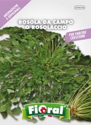 Rosola da Campo - Rosolaccio - Papavero Rosso - Fioral