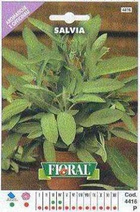 Salvia - Busta Sementi Aromatica