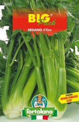 Sedano d'Elne - Big Pack - L'Ortolano