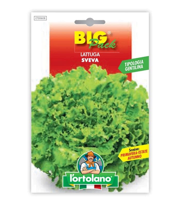 Semi di Lattuga Sveva in Big Pack - L'Ortolano