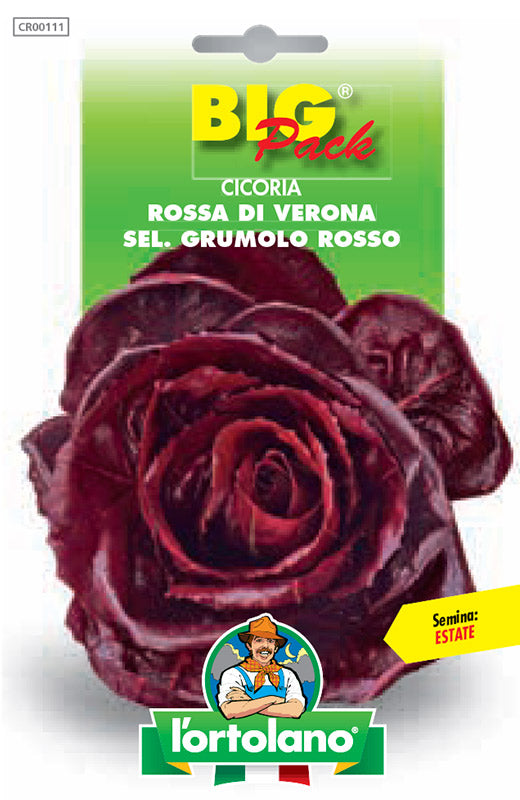 Cicoria Rossa di Verona sel. Grumolo Rosso - bustina semi big pack