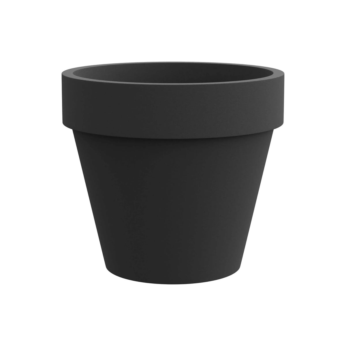 Standard One Cono
