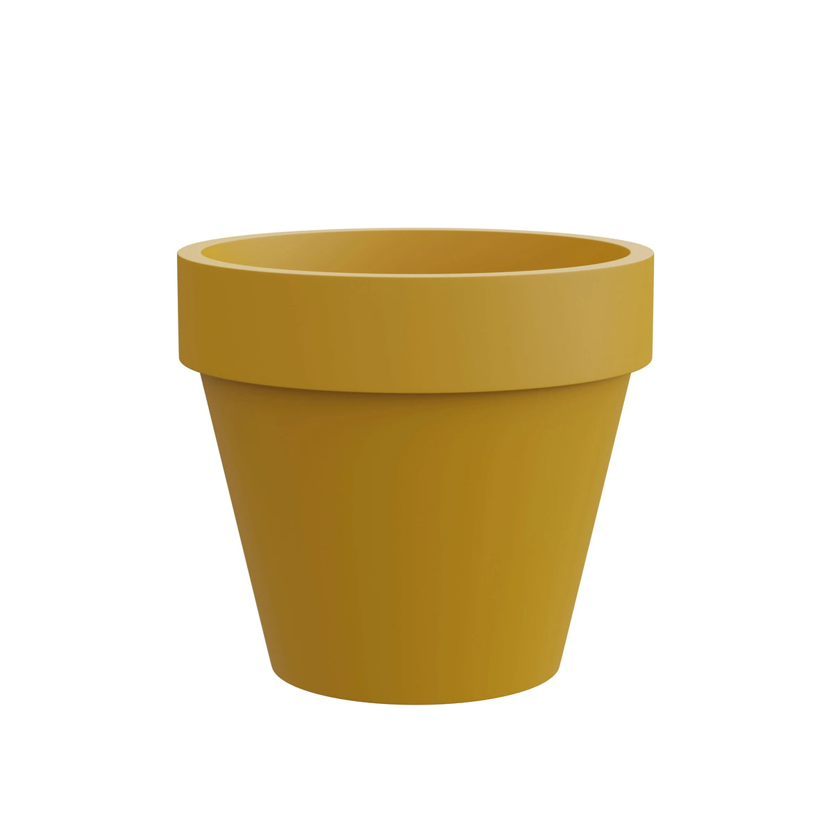 Standard One Cono