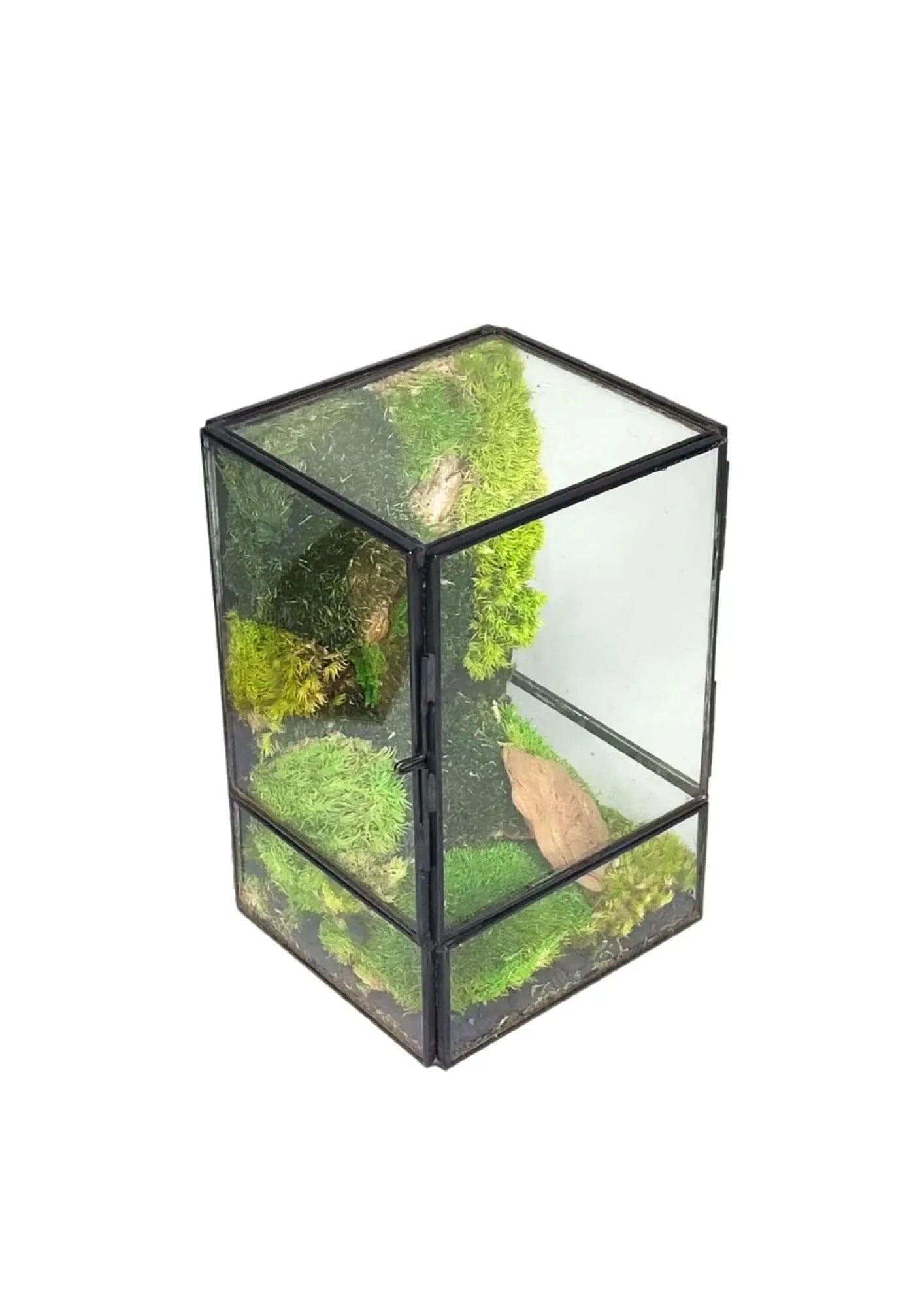 Terrarium geometrico Angolo di Vita 2TR074