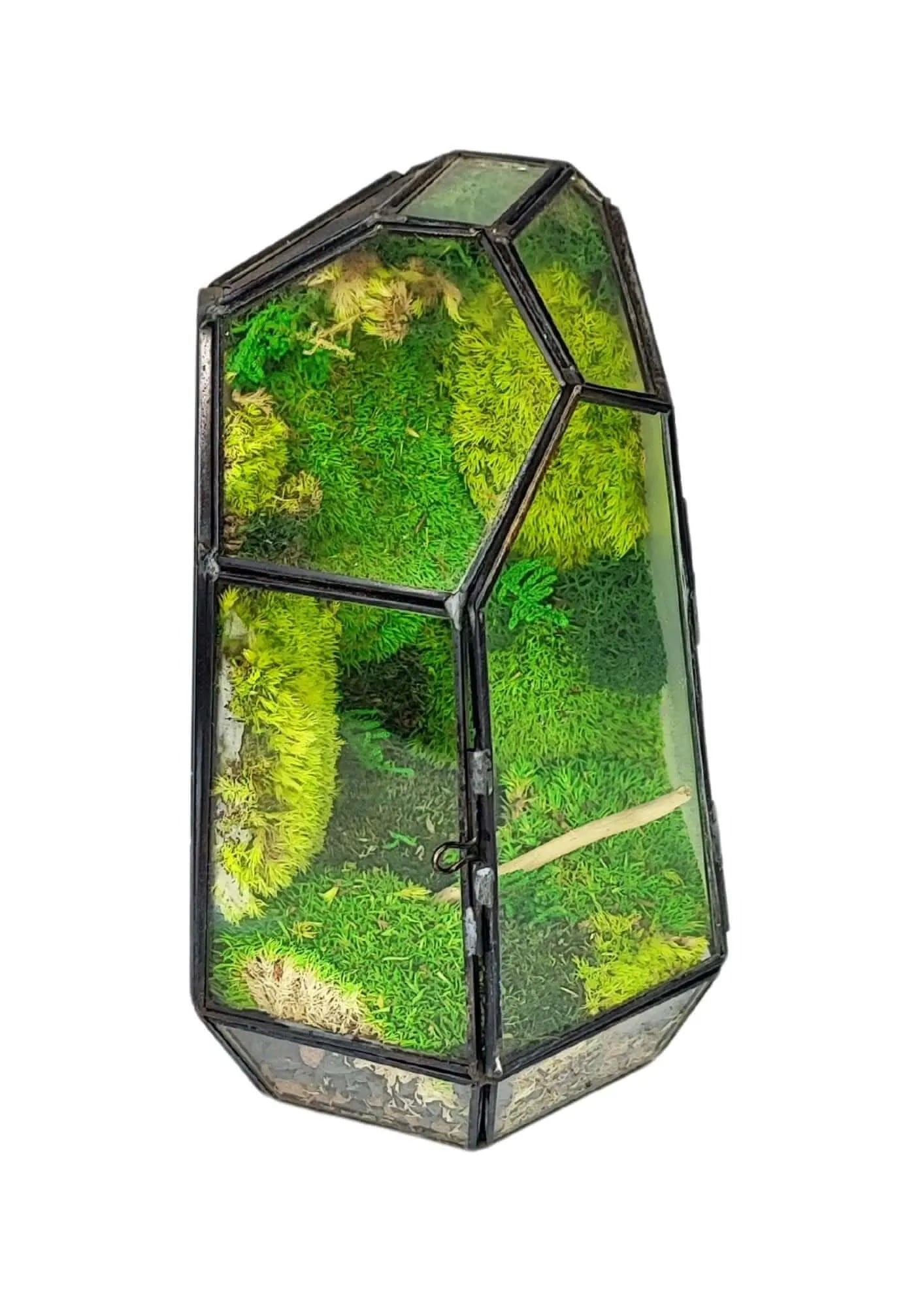 Terrarium geometrico Cristallo di Smeraldo 2TR072