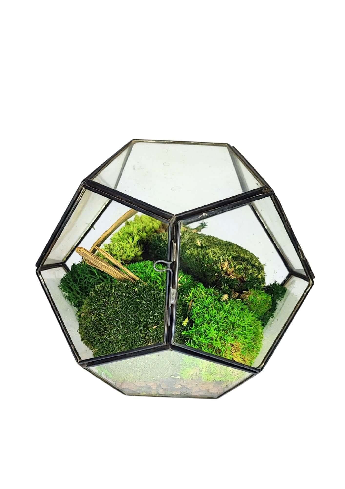 Terrarium geometrico Giardino di Cristallo 2TR070