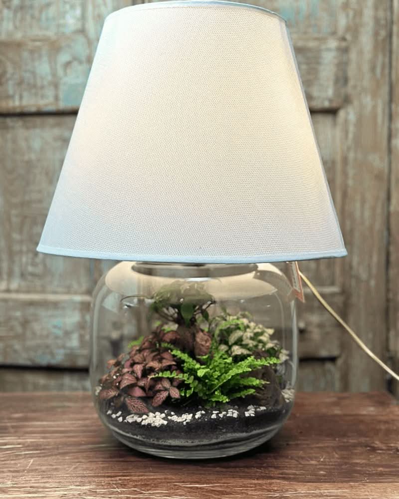 Terrarium Lamparium Martina