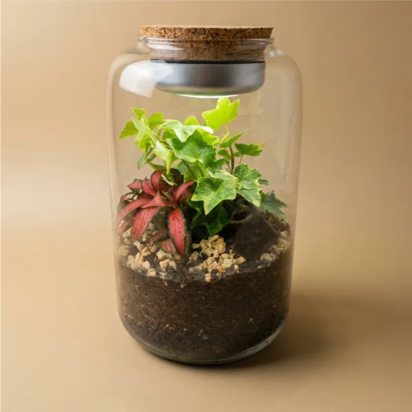 Terrarium Lumina