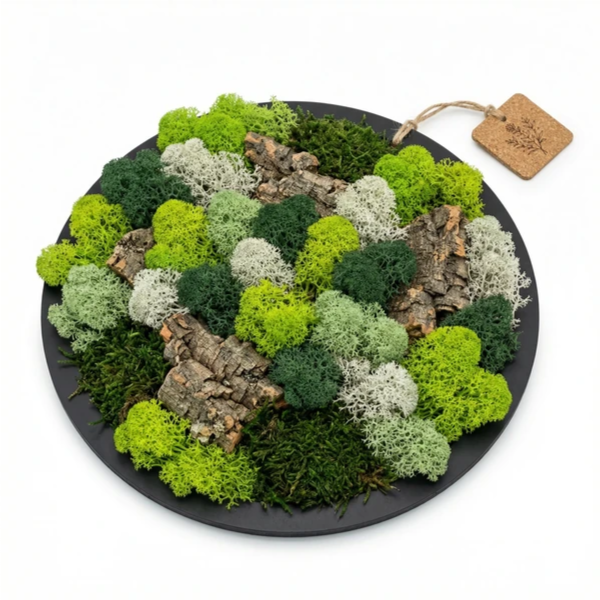 Quadro tondo nero di muschio e licheni