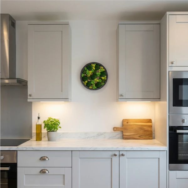 Quadro Tondo di verde stabilizzato di muschi e licheni 30 cm.