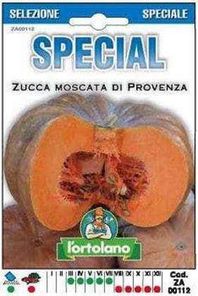 Zucca Moscata di Provenza Ibrido - L'Ortolano