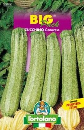 Zucchino Genovese in semi - L'Ortolano